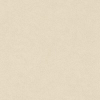 Rasch Tapete Vlies Fiducia 424249 Beige Mocca Feine Strukturierung Wischoptik