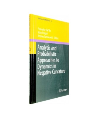 Analytic and Probabilistic Approaches to Dynamics in Negative Curvature