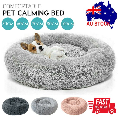 comfy calming bed