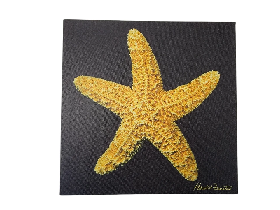 3pc Set Canvas Wall Art Prints Picture Nautilus Seashell Starfish Black Ocean - Image 3 of 4