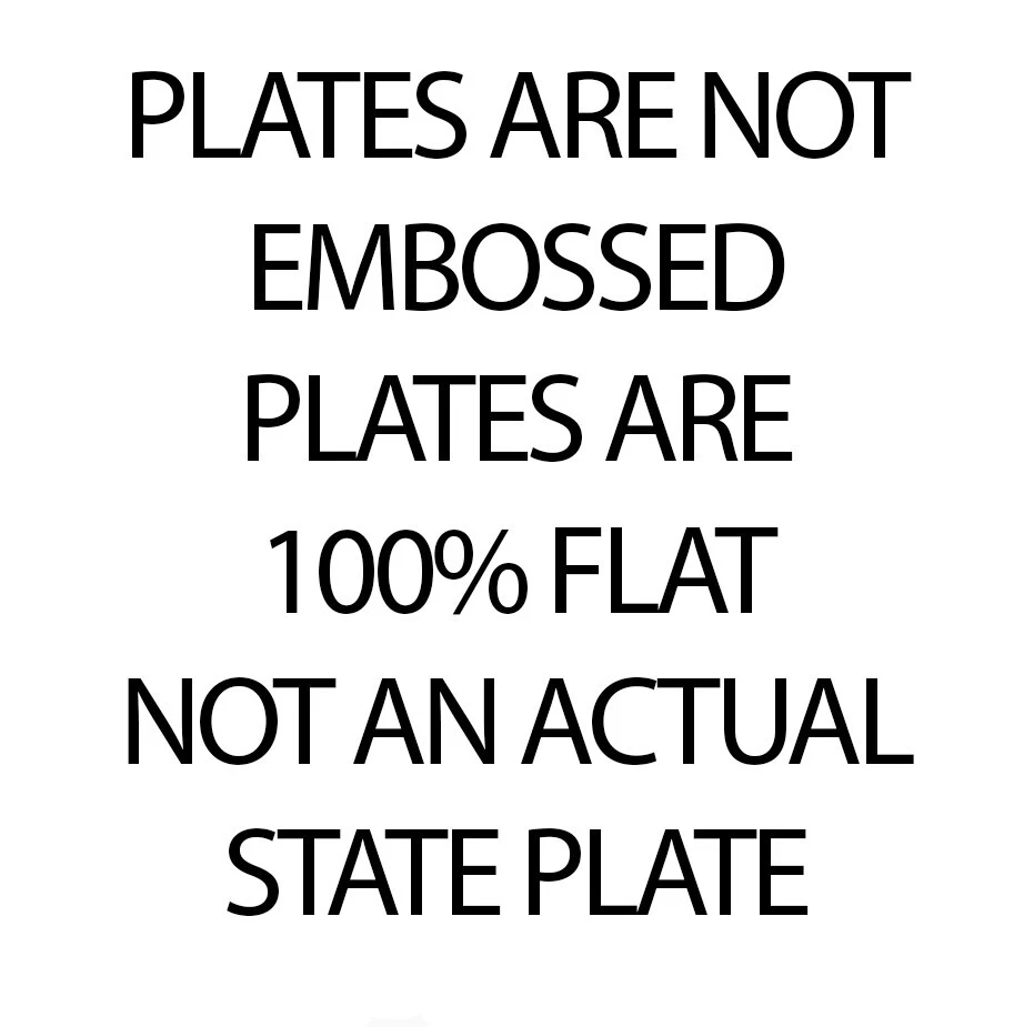 Any State Any Text 250 Custom License Plate Personalized US Canada Mexico - Image 4 of 4