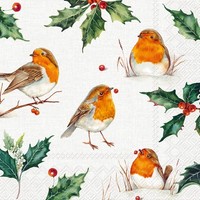 20 Servietten Lexi And Robin Rotkehlchen VöGel Ilex Weihnachten BläTter 33X33Cm