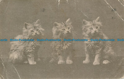 R117112 Old Postcard. Three Kittens. Faulkner. 1912