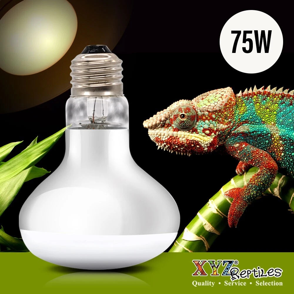 Heat 2024 lamp wattage