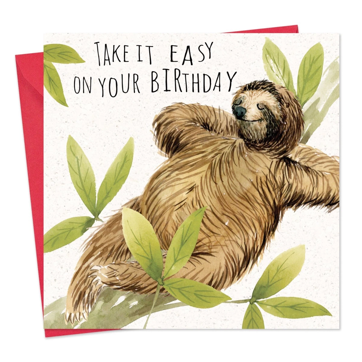 Central 23 Funny Birthday Cards For Him 'It's Your, 42% OFF