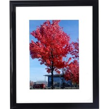 Black Picture Frame 8x10 Mat 5x7 Modern Wall or Desktop Display