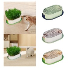 Fioriera per erba gatta con vassoio di avviamento, accessori robusti, piatto per