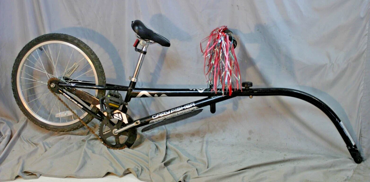 Gary fisher kids bike online