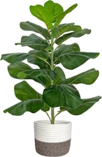 BESAMENATURE Artificial Fiddle Leaf Fig Tree/Faux White and Brown Basket 
