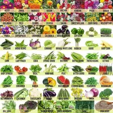70 Varieties of Flowers, Vegetable, Fruits & Herbs Seeds for Kitchen Home Garden