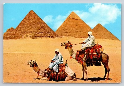 1978 Giza Pyramids Egypt Postcard Camels Desert Lehnert & Landrock