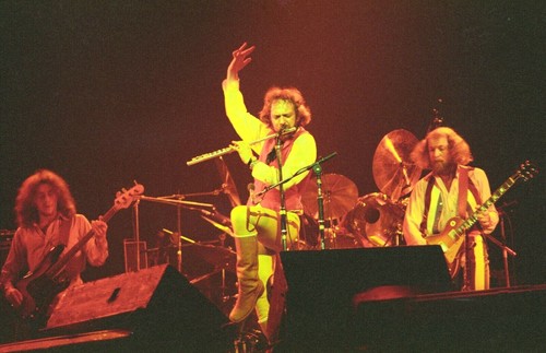 JETHRO TULL in concert 1977 ~ 30 Exclusive PHOTOS! 'Songs from the Wood' tour. - 第 1/4 張圖片