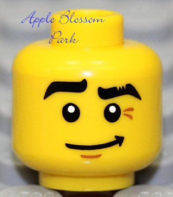 NEW Lego City Boy MINIFIG HEAD w/Sly Smile Grin - Police Agent