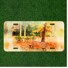 Custom Novelty License Plate Custom Personalized Car Tag Gift