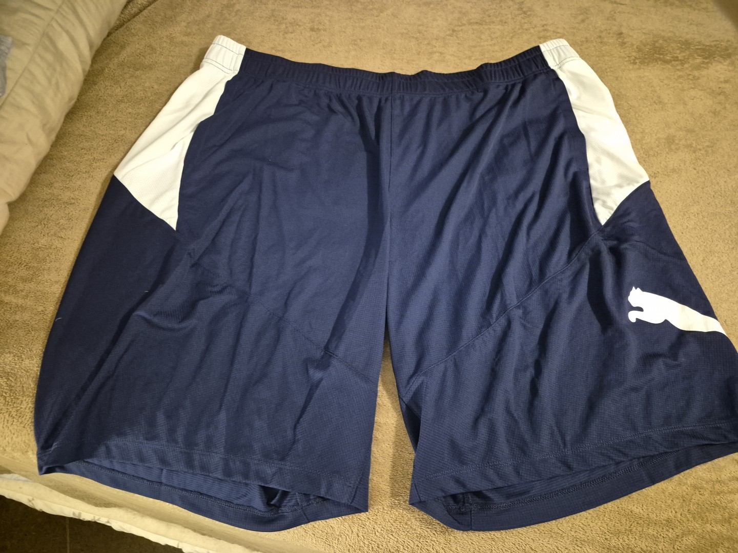 PUMA Men's Logo Fleece 10
