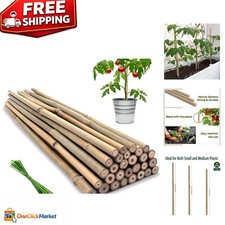 Plant Stakes Natural Garden Bamboo Sticks for Indoor and Outdoor, 20pcs for T...