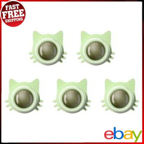 Catnip Wall Toys Kitten Chew Toys Teeth Cleaning Cat Bite Toy for Cats (Green) ✅ - Picture 1 of 4