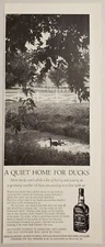1959 Print Ad Jack Daniel's Tennessee Whiskey Quiet Home for Ducks in Farm Pond