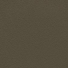 Lexus Dark Taupe Leather Dye