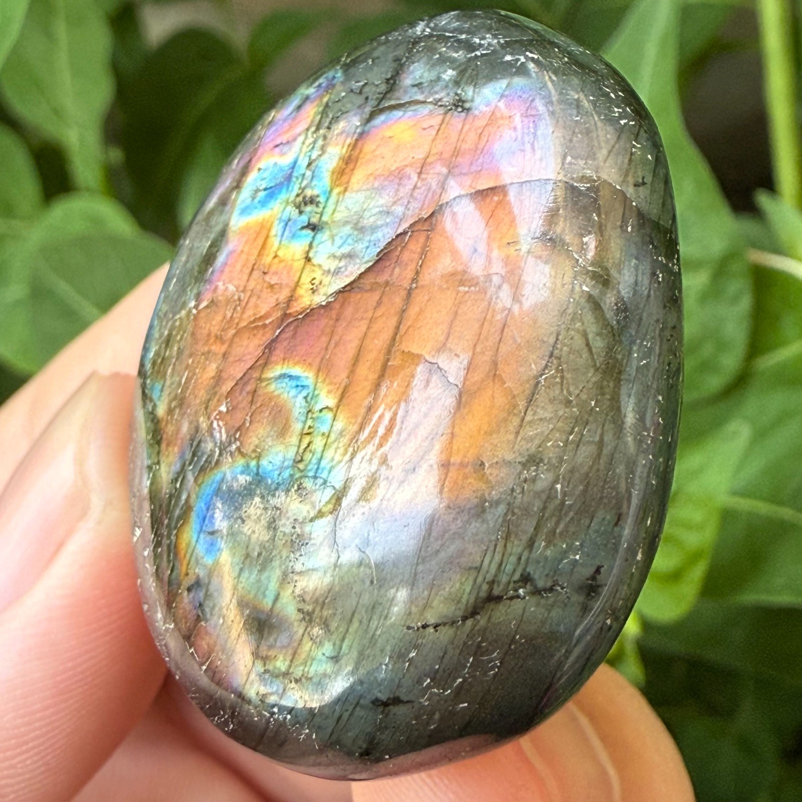 35g Natural Flashy Rainbow Labradorite Palm Crystal Quartz Healing Reiki