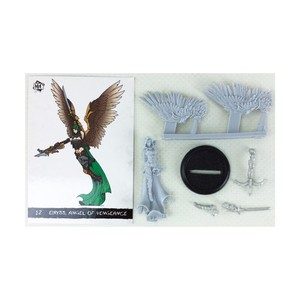 Privateer Press Mini Crate Loose 28mm Eiryss, Angel of Vengeance #1 NM