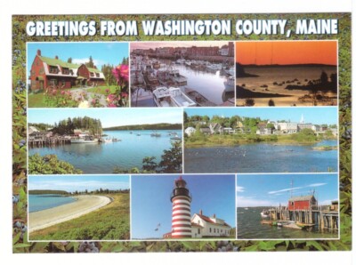 Greetings From Washington County, Maine, Chrome Multiview Postcard, 8