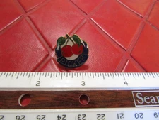 NOS Vintage TWO CHERRIES "PICKER" Lapel/Hat PIN- 1980's