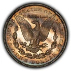 1887 $1 Morgan Silver Dollar - Colorful Pattern Toning - UNC - SKU-D7713