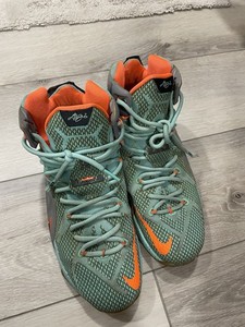 lebron james shoes ebay