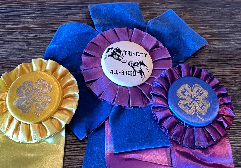 Lote de 10 cintas de exhibición de caballos de los años 60-80 rosetas artesanías Saginaw Bay Hiloma MI #46 Foto 3 de 4