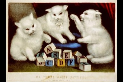 My three white kitties: learning their a.b.c.,letter blocks,cats,kittens,c1856