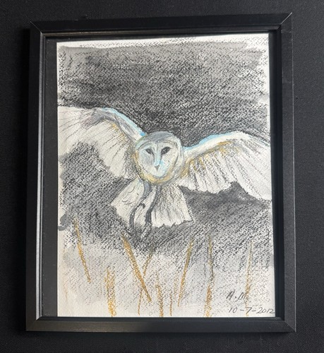 Original Signed Pastel Drawing “Barn Owl” By A.M (2012) Framed