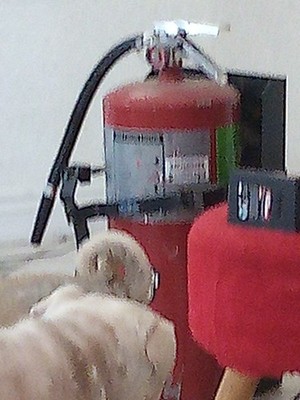 BUCKEYE Fire Extinguisher: 20 lb Extinguisher Capacity, 60B:C, Potassium Bicarbo