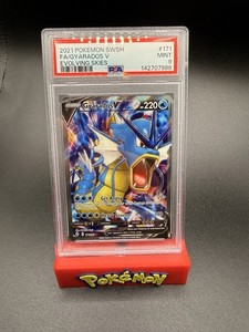 Gyarados V