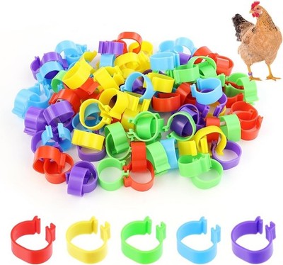 100 PCS Chicken Identification Band 5Color Chicken Leg Rings 16Mm Poultry Foot R