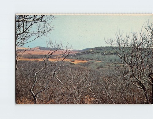 Postcard Pilgrim Spring Cape Cod National Seashore Massachusetts | eBay