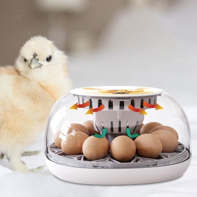 Mini Egg Incubator Manual Egg Turner  Cover für Entenvögel auf
