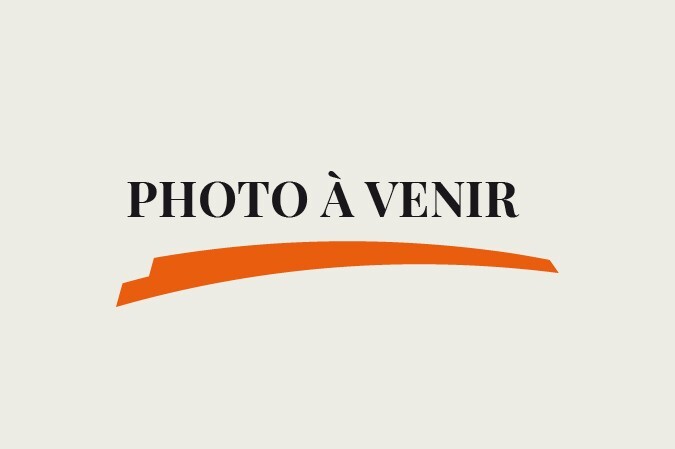 MANETTE OFFICIELLE GRISE sur Sony Playstation 1 PS1 - SCPH-1080 - PAL - Testé OK