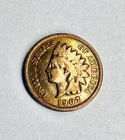 1907 Indian Head Cent- Lot # 25