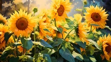 Modern Artwork Sunflowers Picture Canvas Home Decor Wall Art Prints Painting 56