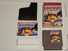 Day Dreamin' Davey (Nintendo Entertainment System, 1992) complete in box