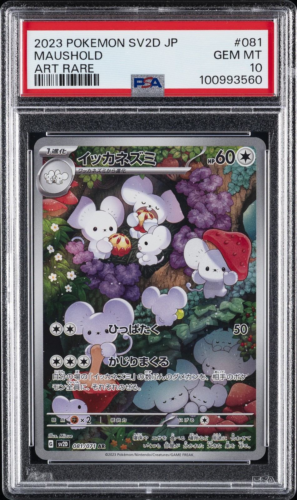 2023 POKEMON JPN SV2D-CLAY BURST ART RARE #081 MAUSHOLD PSA 10