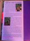 Bild 2 von 10
