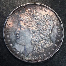 1885 Morgan Silver Dollar - Hairlined Uncirc - High Quality Scans #Q502