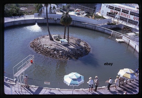 Vintage Colour slides x 11 USA FORT LAUDERDALE OCEAN WORLD 1970 KODACHROME 35MM - Picture 3 of 11