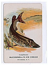 1940s MCCONNELL'S ICE CREAM PITTSFORD NEW YORK ADVERTISING/REDEMPTION CARDS