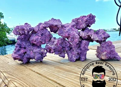 ADDICTIVE REEF KEEPING 50 lbs Purple Coraline Med/Lrg Dry Reef Base Rock, Lightweight, Porous, Live