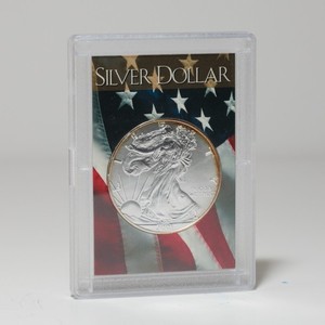 2001 American Silver Eagle | eBay