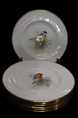 Royal Worcester Multi-Motif Birds Bone China 7 Salad Plates Artist E. Townsend