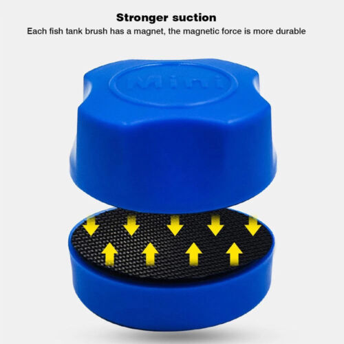 HOT 6mm Mini Fish Tank Magnetic Brush Suitable for Fish Tanks with Glass Below🔥 - Picture 11 of 15